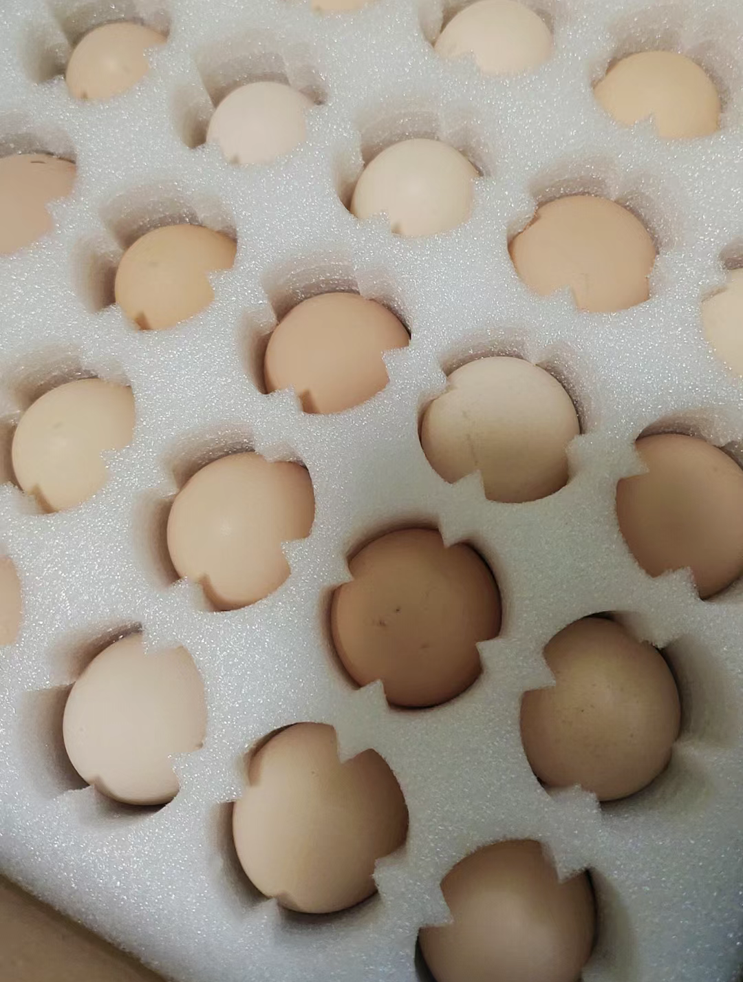 The importance of pearl cotton egg trays in food packaging